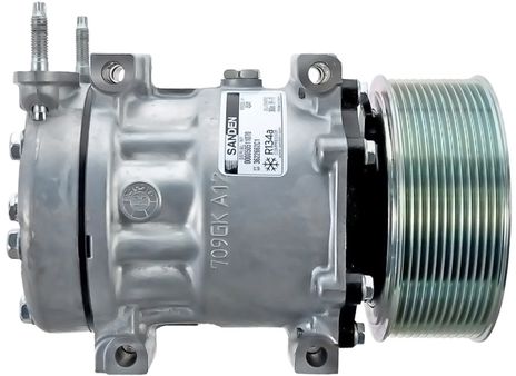 54541