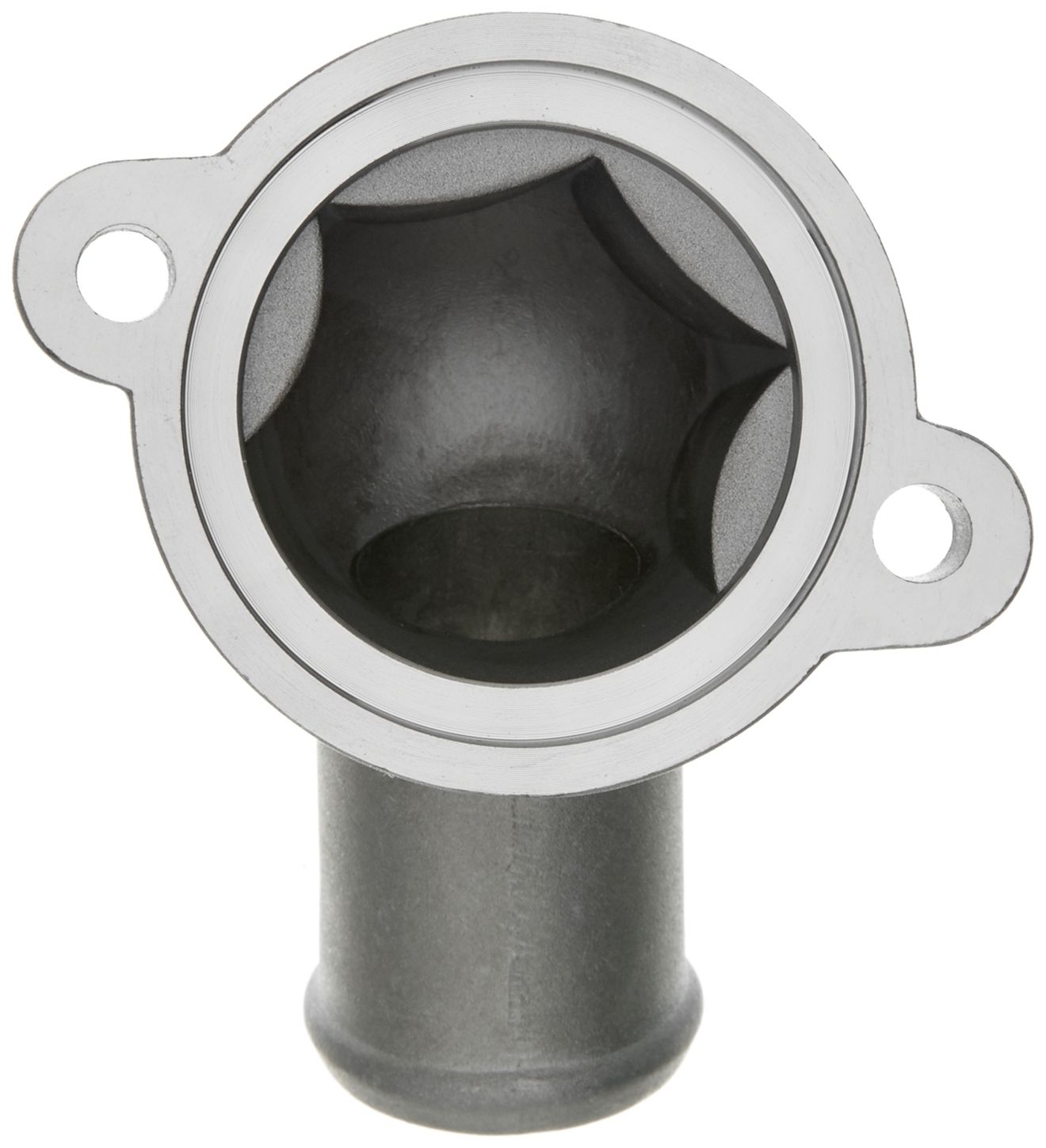 CO34909-3_BOT_A.jpg