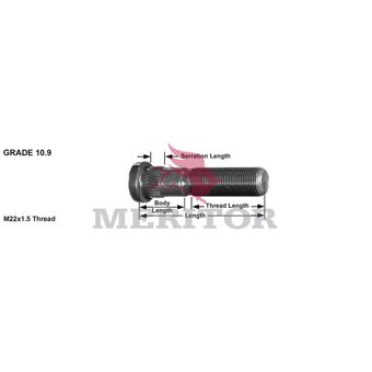 R005998 photo front 113277