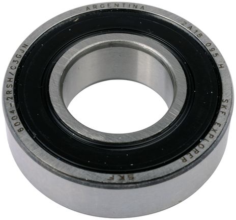 6004-2RSJ_1.JPG