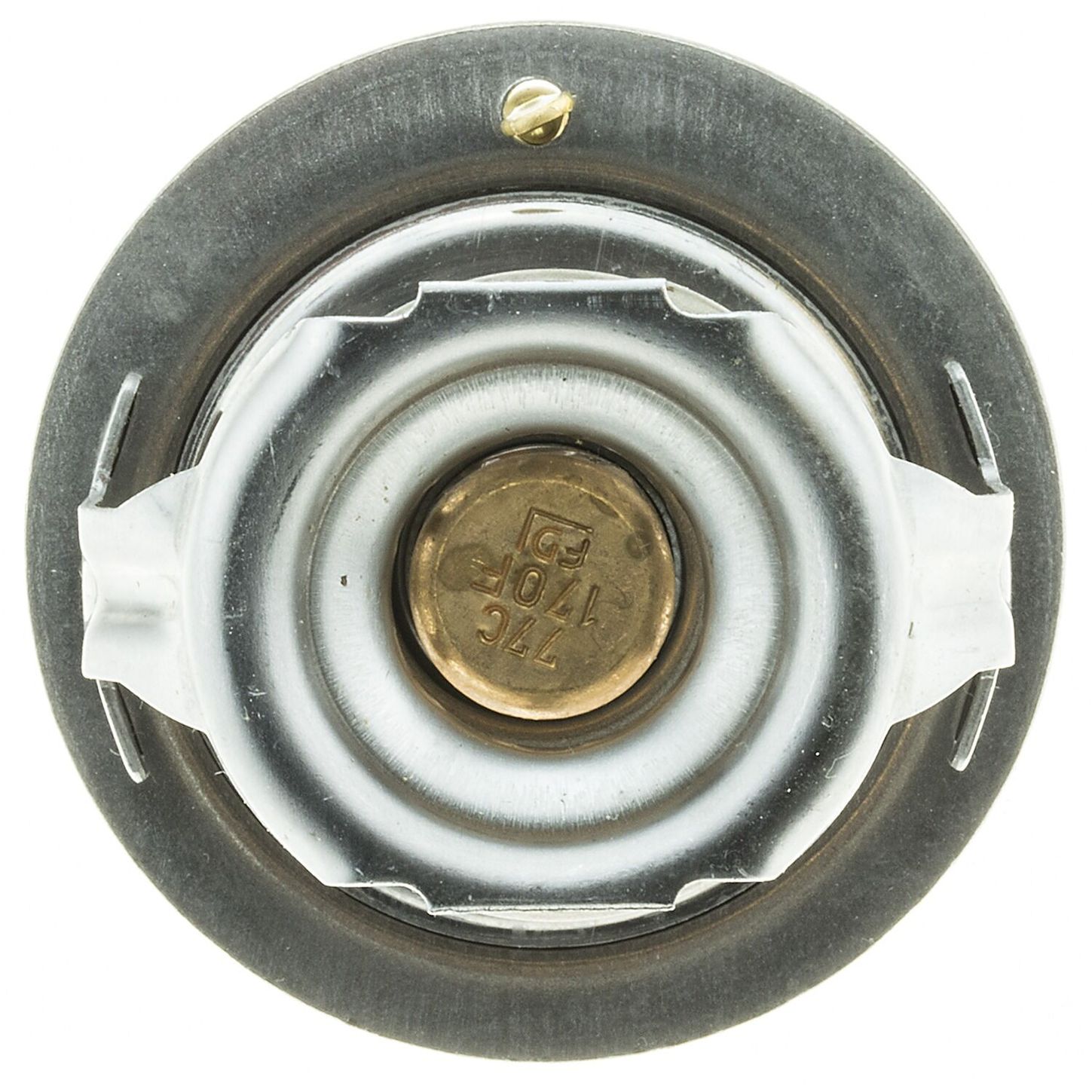 MOTR294170 3