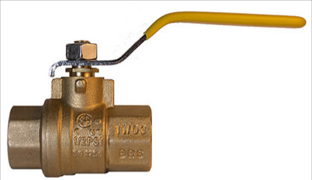 VF596210NPT