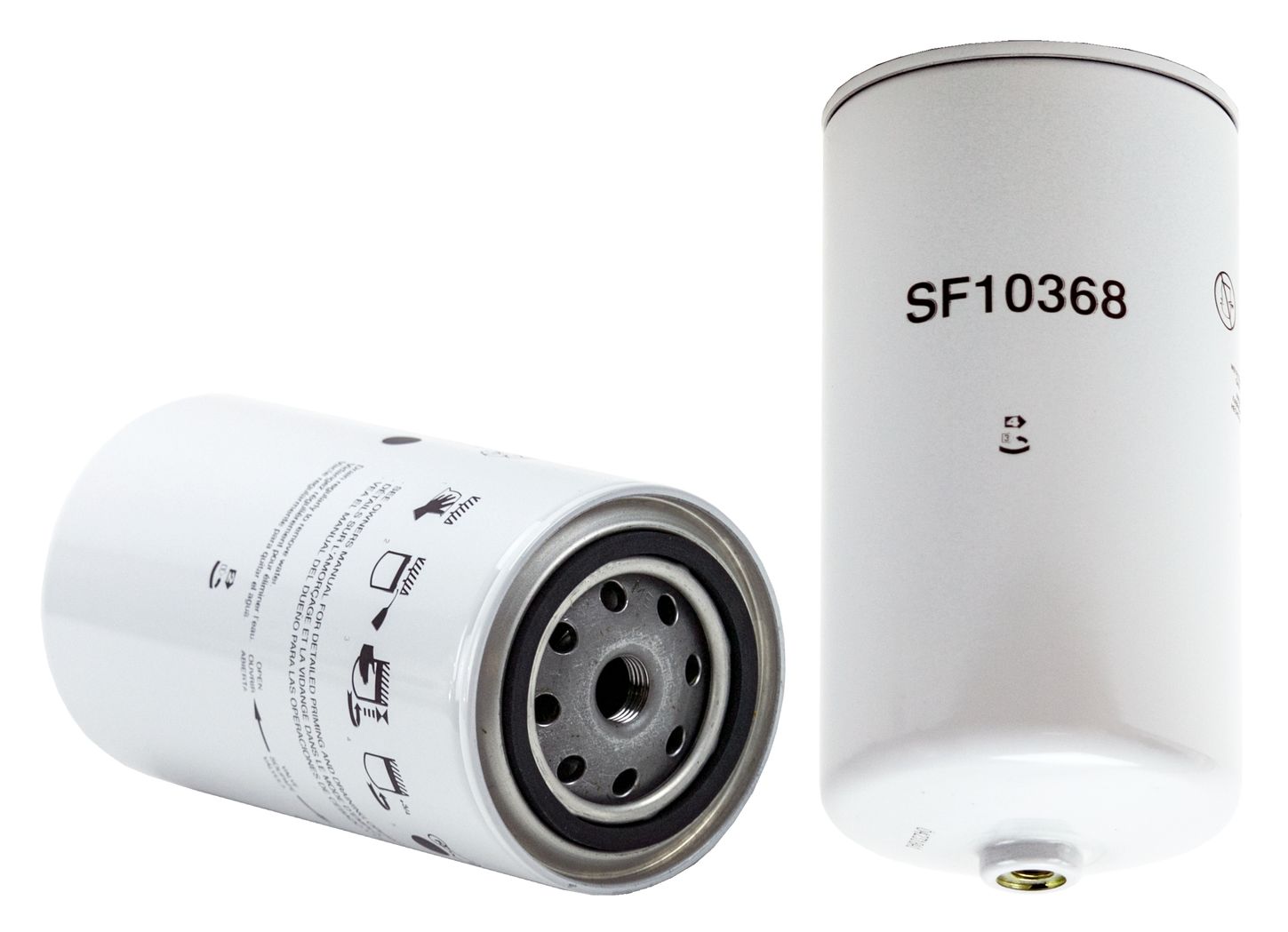 WF10368.jpg