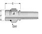 A-1010-MORB