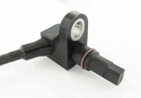 SC453_2.JPG