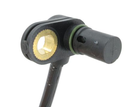 SC513_2.JPG