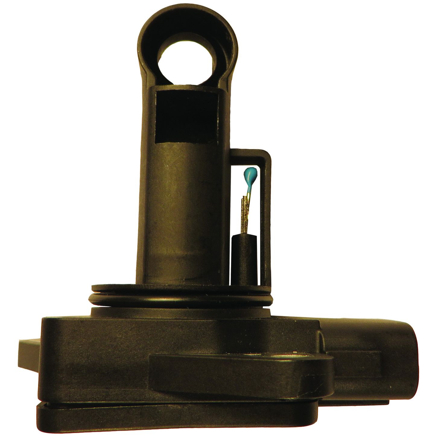 MAF10135 SID