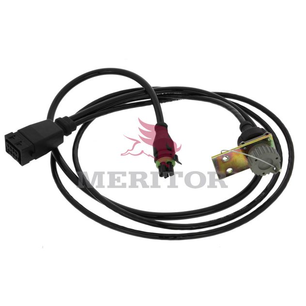 4493641030 photo front 156654