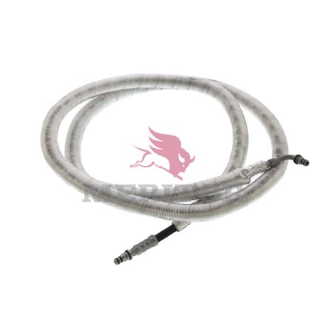 4526980070 photo front 156778