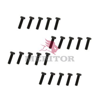 S29162 photo back 124806