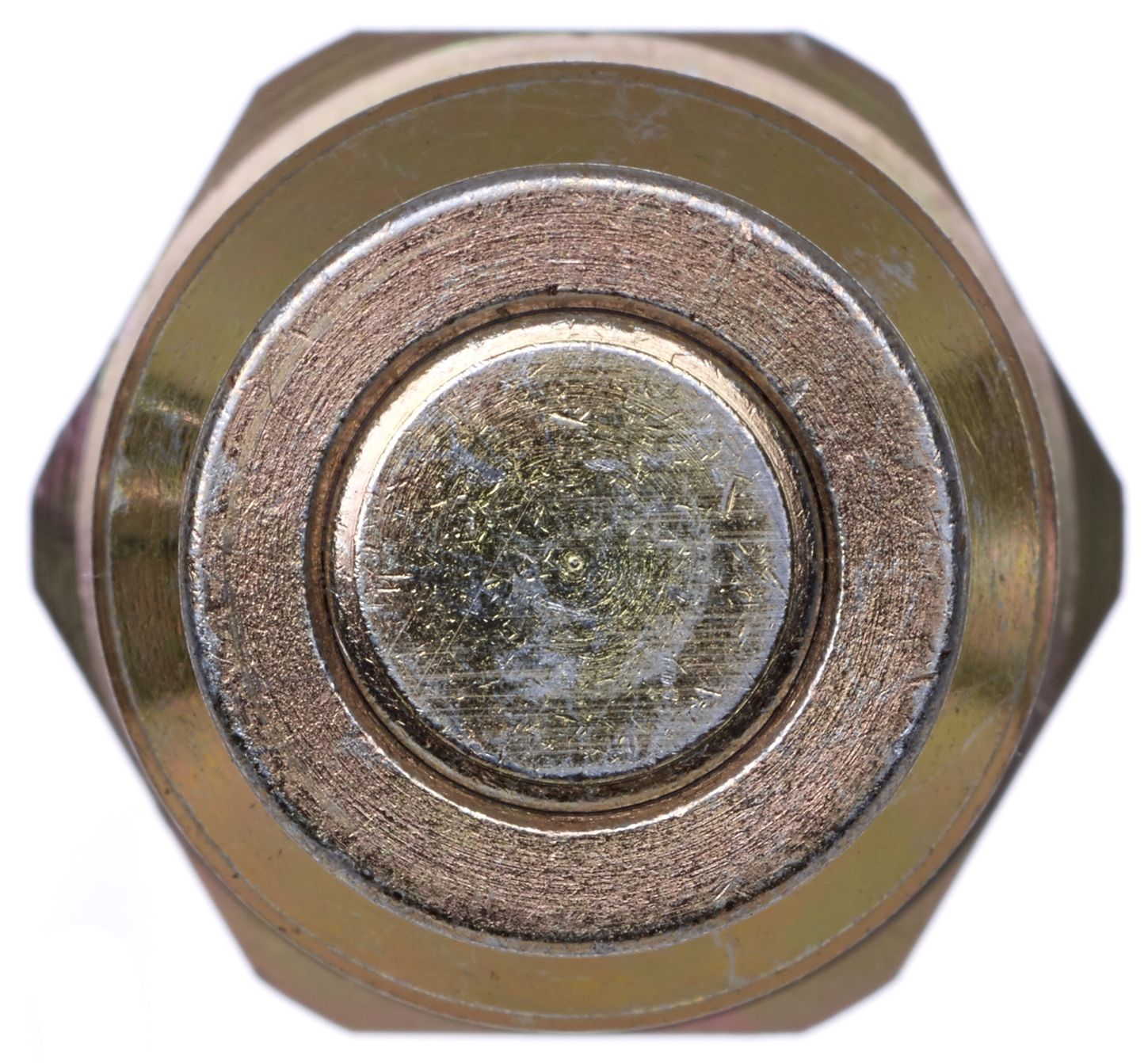 G949130810-3_RIT_R.jpg