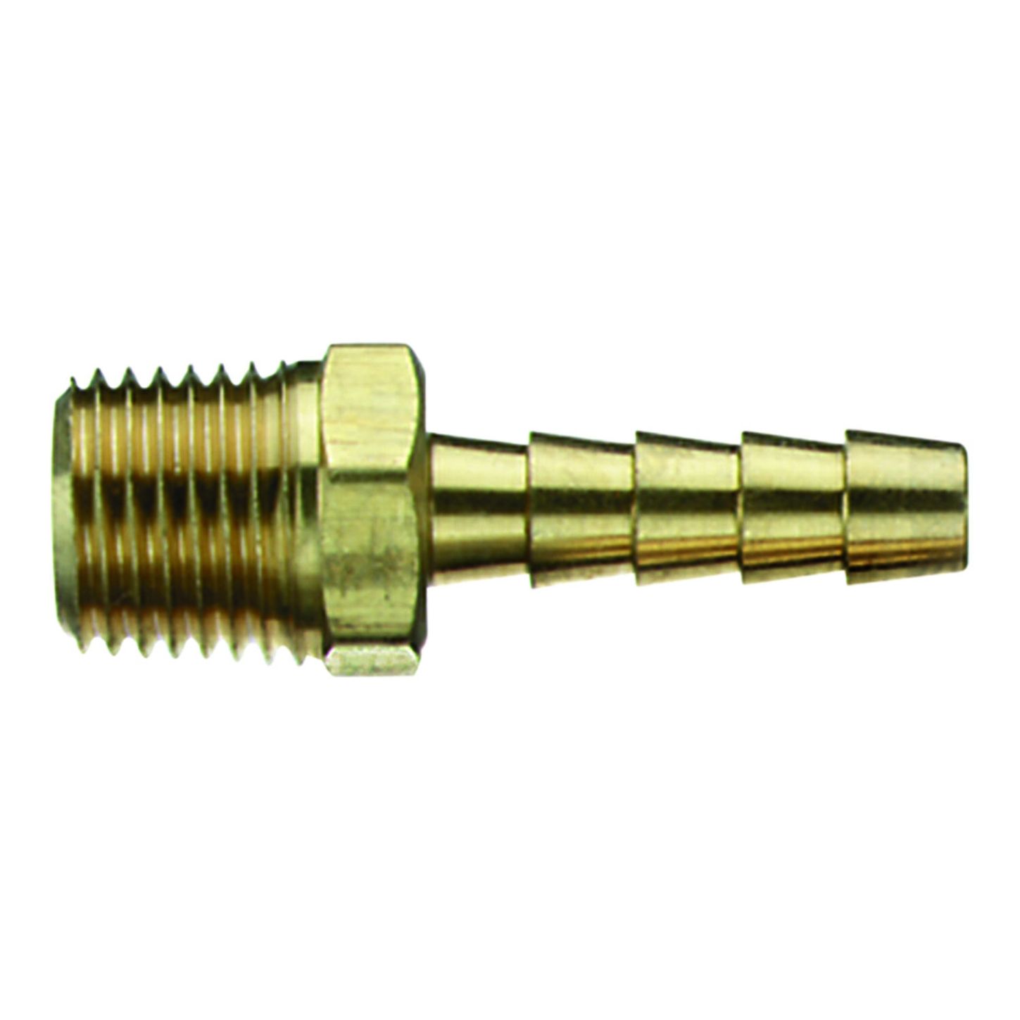 AMFL406_1_x-large.jpg