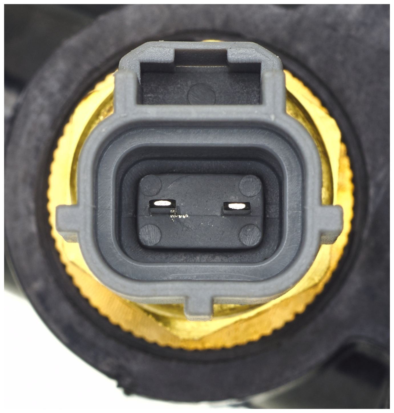 CO34924-5_CON_A.jpg
