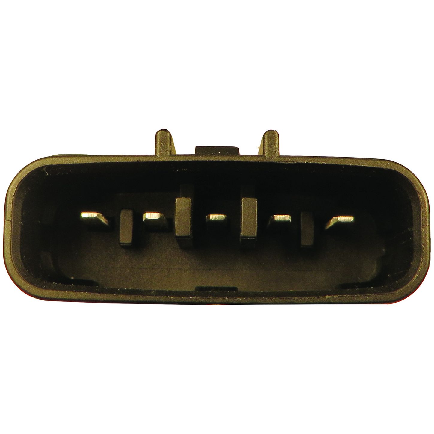 MAF10135 5