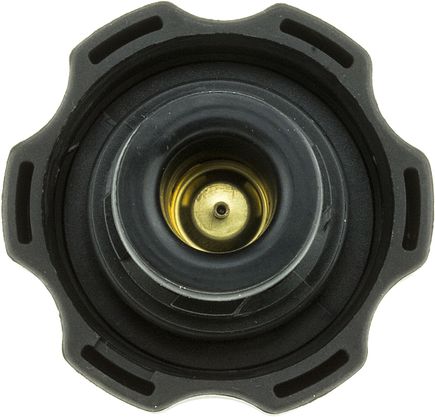 31539-3_BOT_A.jpg
