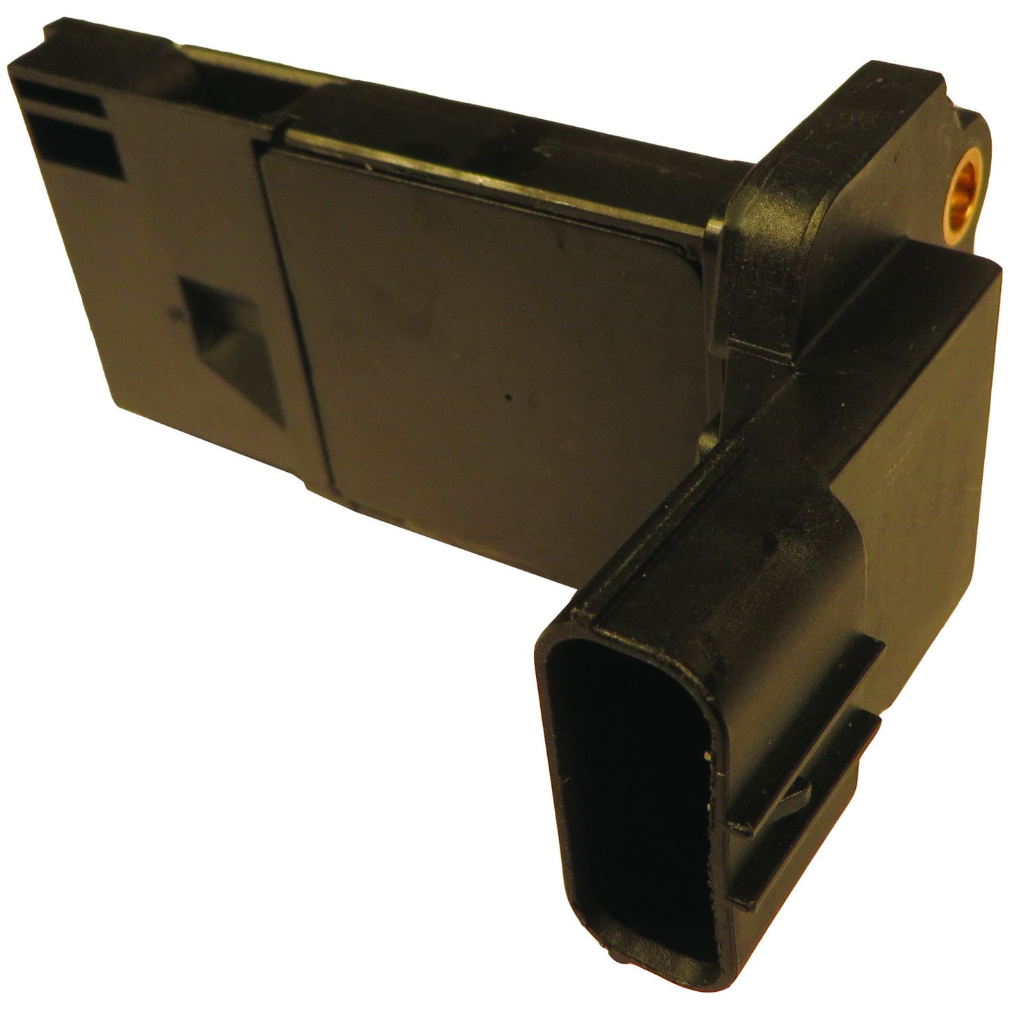 MAF10145 FRO