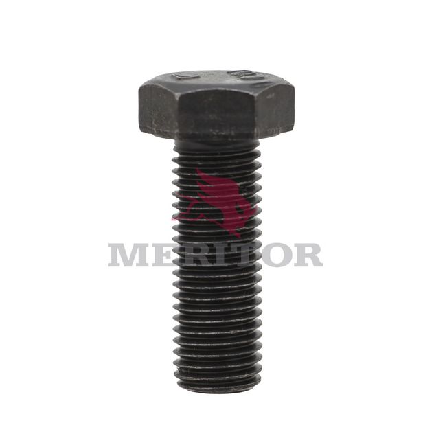 MS2160452 photo front 99656