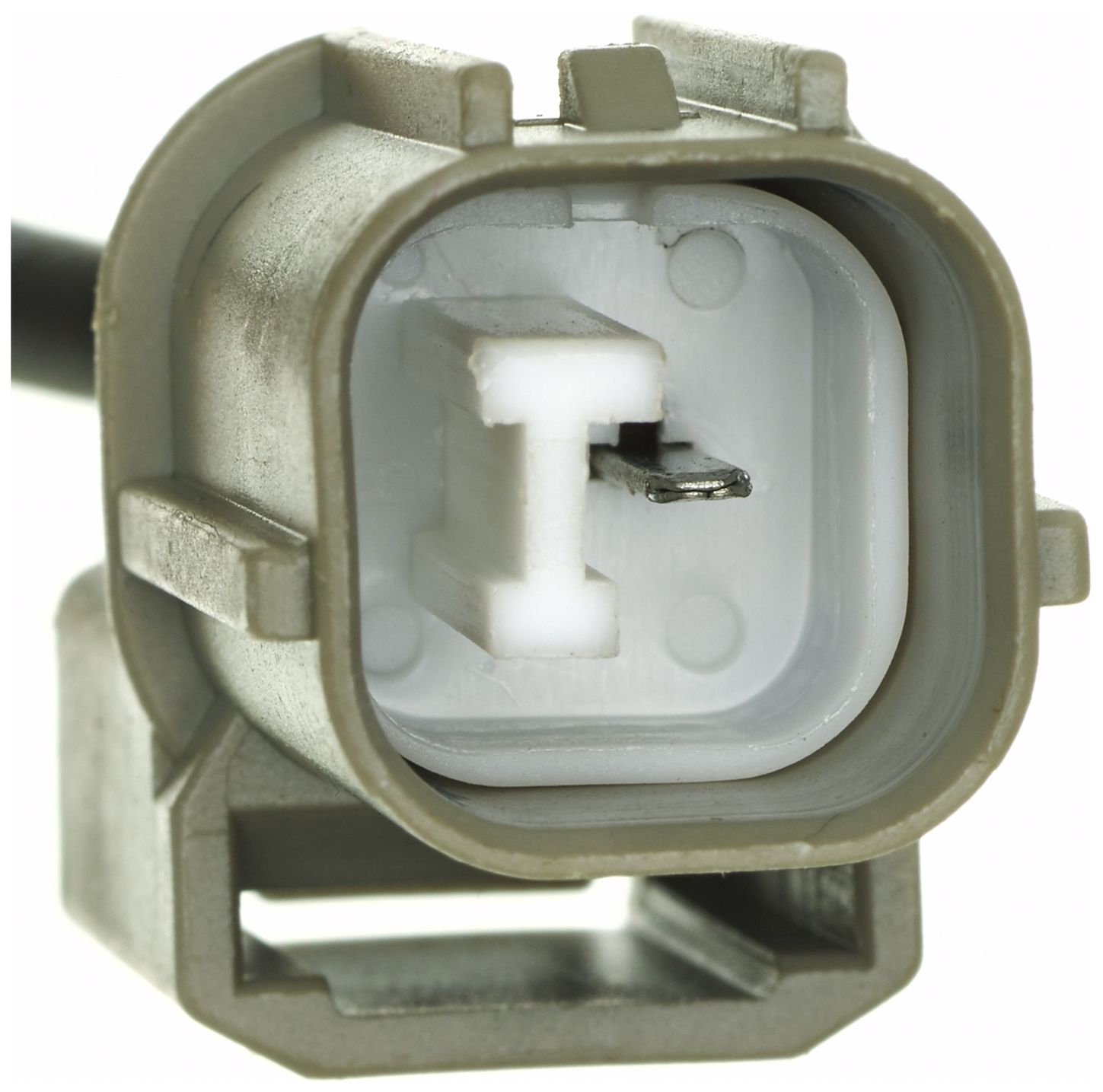 VVS361-3_CON_A.jpg