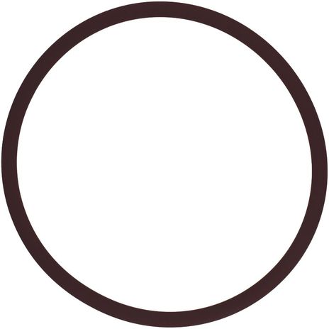  .008 O-RING 3"/16'X5"/16" I.D.O.D.