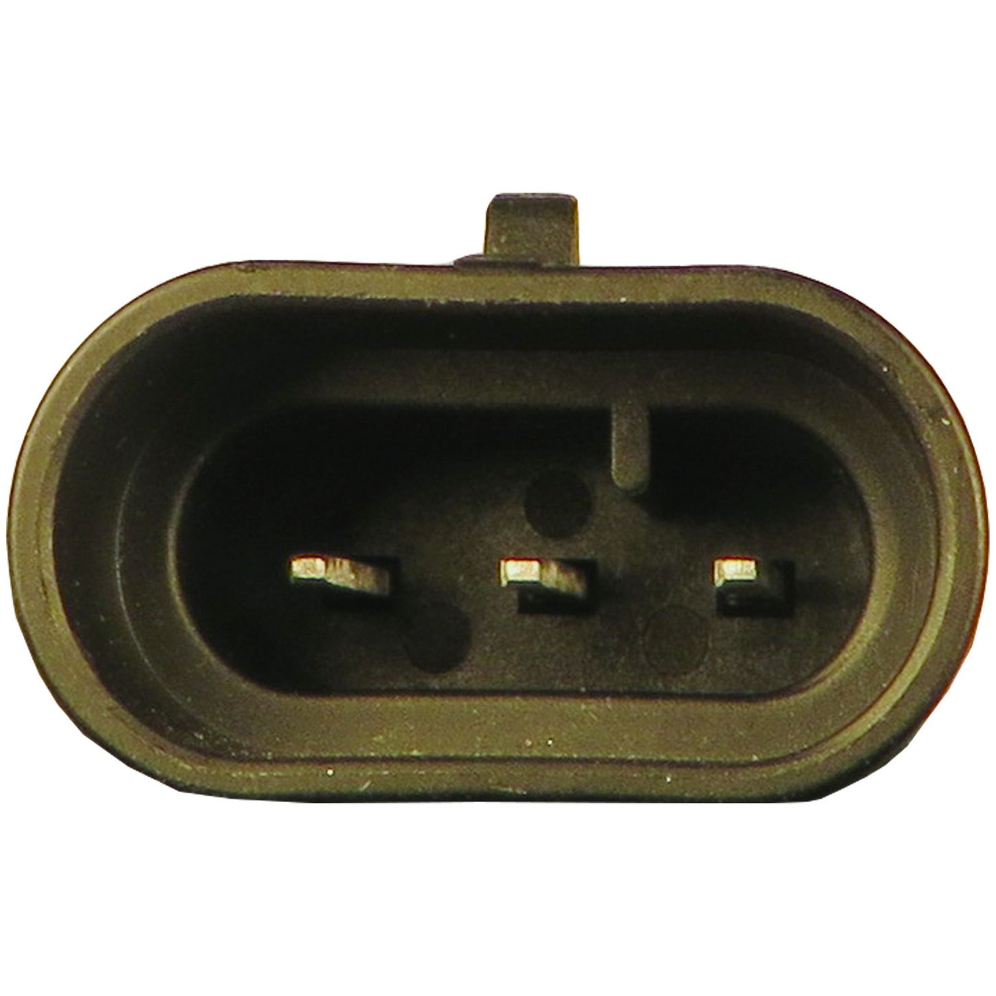 MAF10124 5