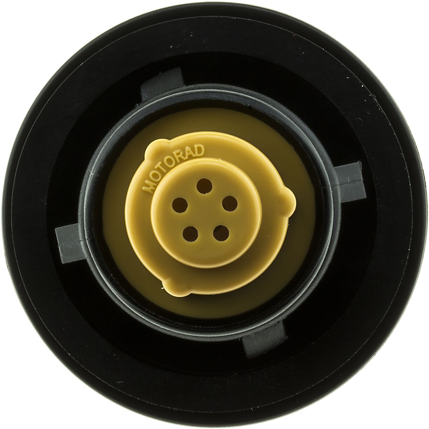 31691-3_BOT_A.jpg