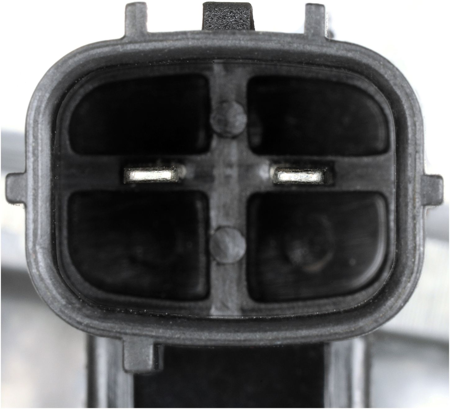 VVS322-4_CON_A.jpg