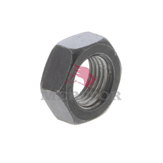 13X163 photo front 3915