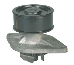 RW6075.jpg