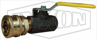 IBV50BOV
