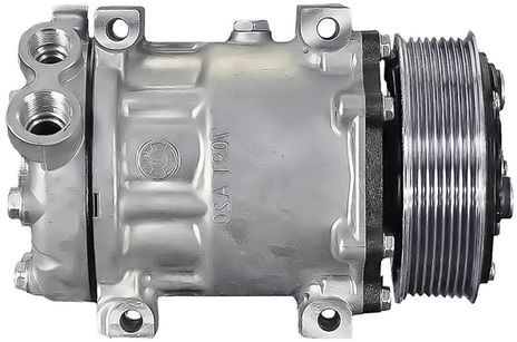 54083