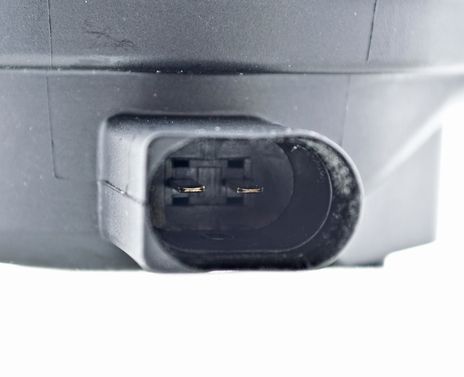 247003021.PT10.jpg