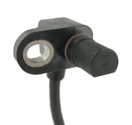 SC743_2.JPG