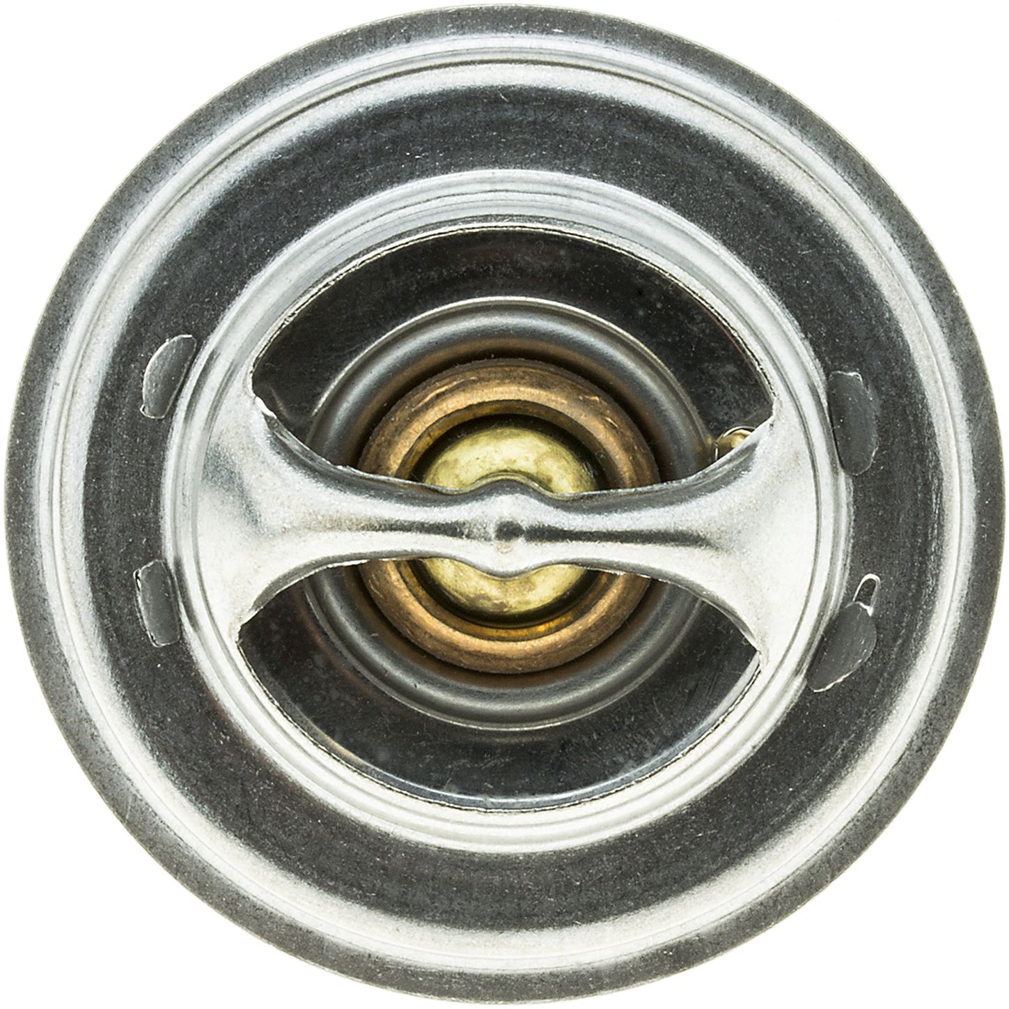 33556-2_TOP_A.jpg