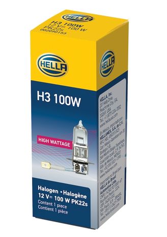 H3 100W.PT95.jpg