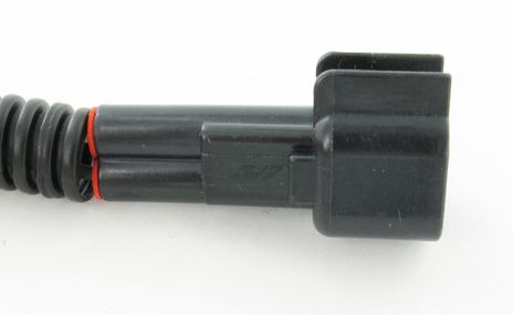 SC808_3.JPG
