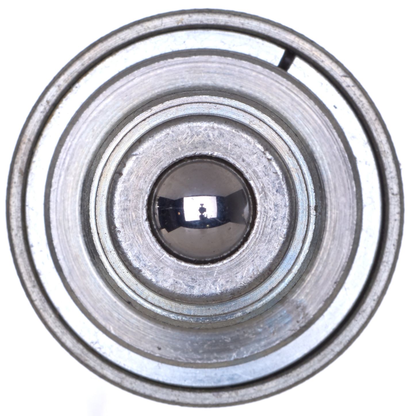 G959650808-3_RIT_R.jpg