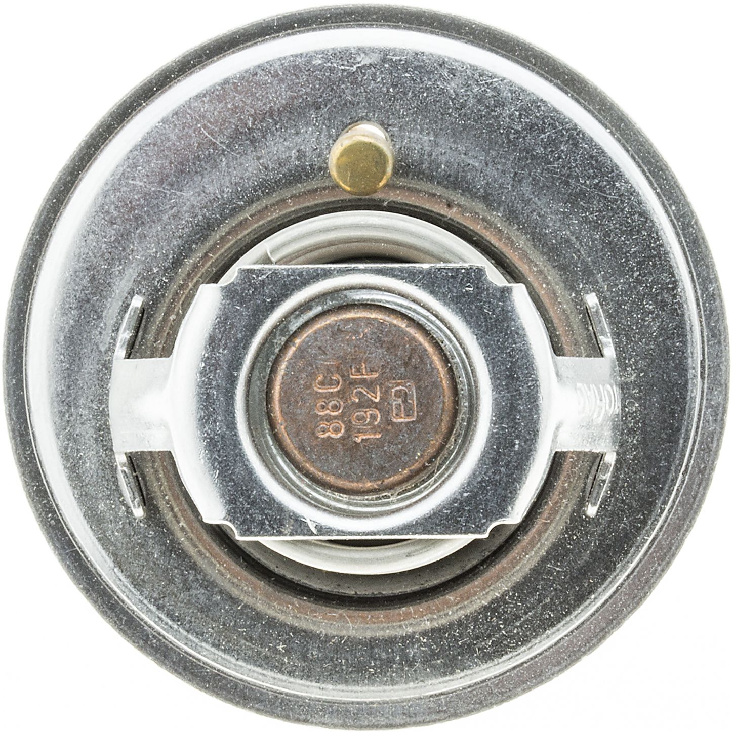 33479-3_BOT_A.jpg