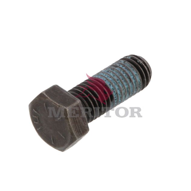 10X1594 photo front 1238