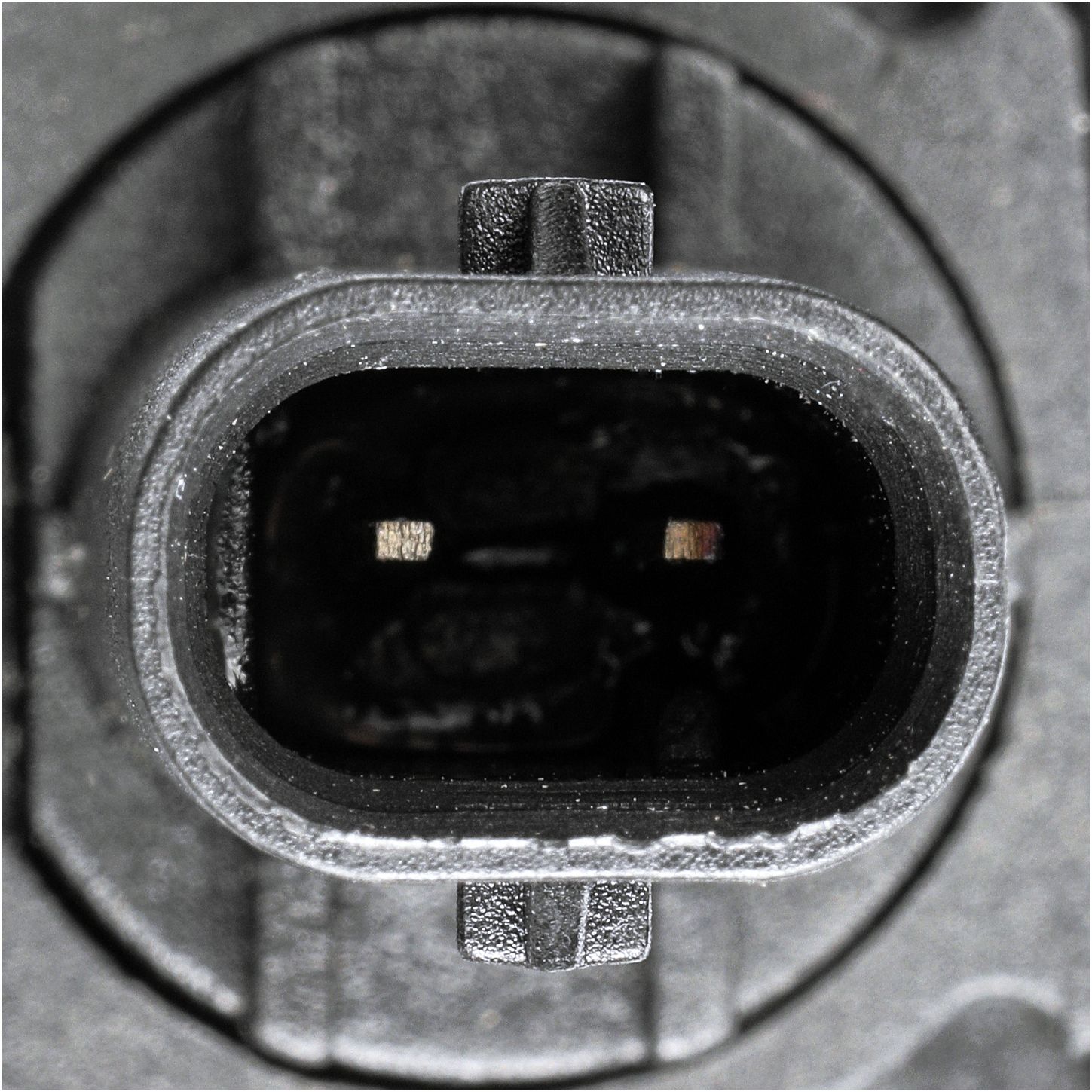 65011-2_CON_A.jpg