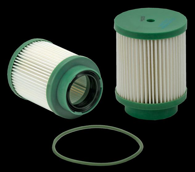 WF10442.jpg