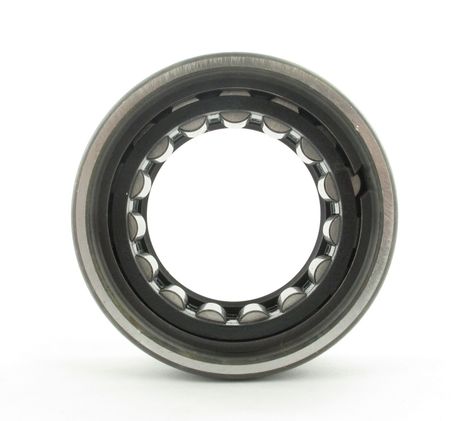 R1563_1.JPG