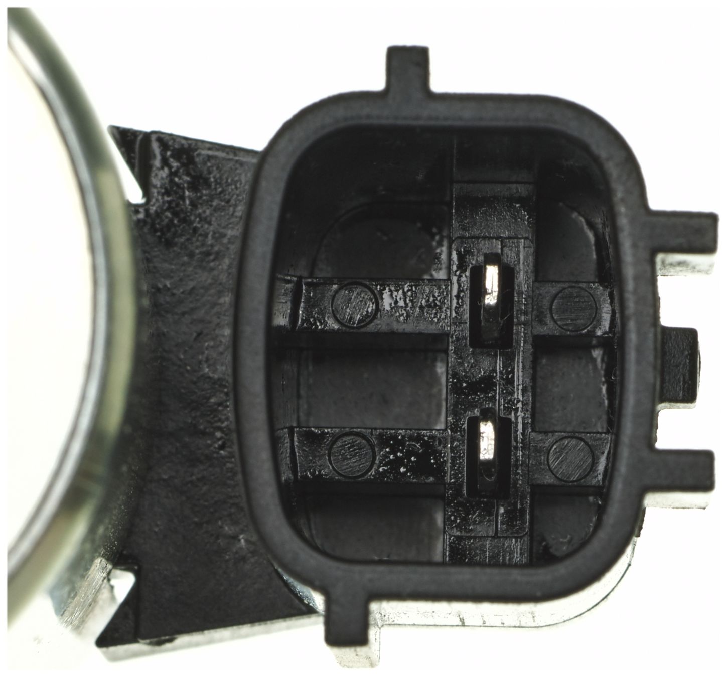 VVS296-3_CON_A.jpg
