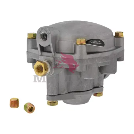 R955281865N