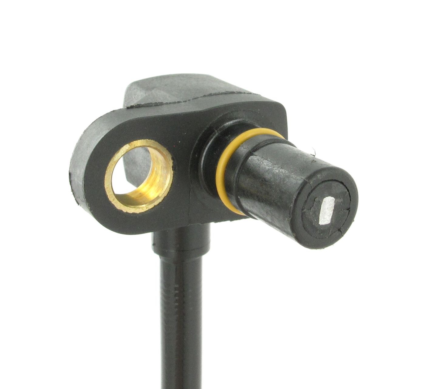 SC307_2.JPG