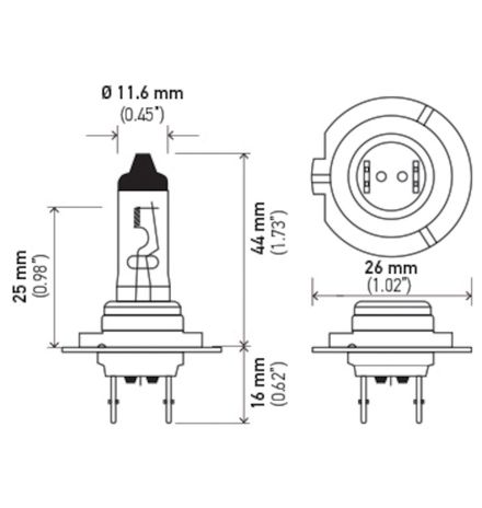 H71070702.PT01.jpg