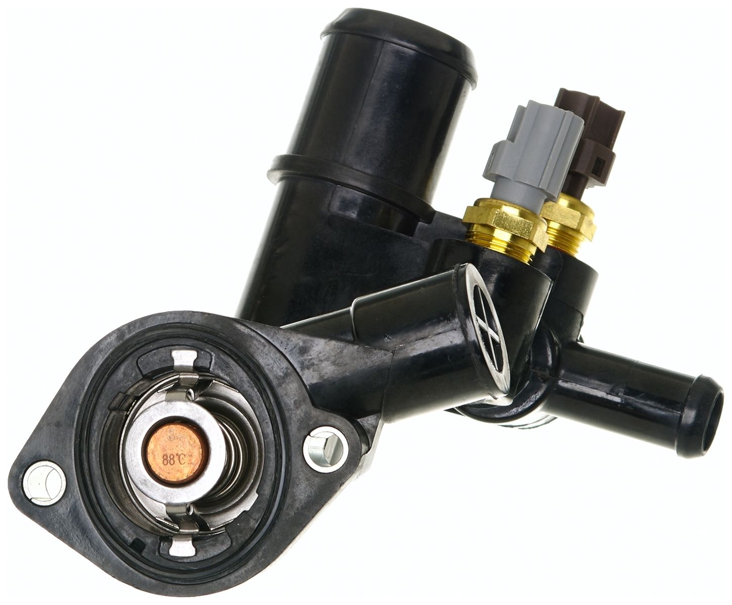 CO34924-3_BOT_A.jpg