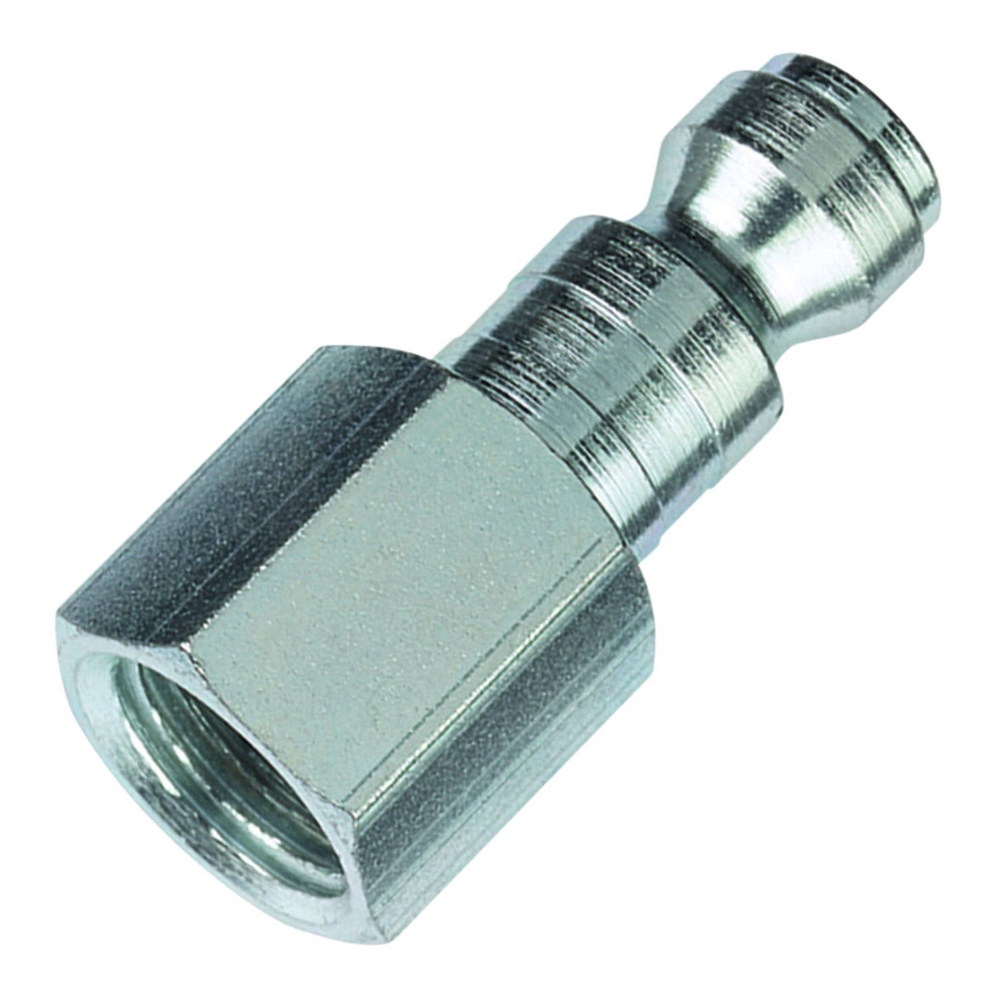 AMFLCP223_1_x-large.jpg
