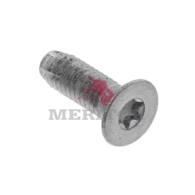 10X1773 photo front 1310