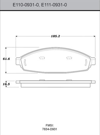 E11009310