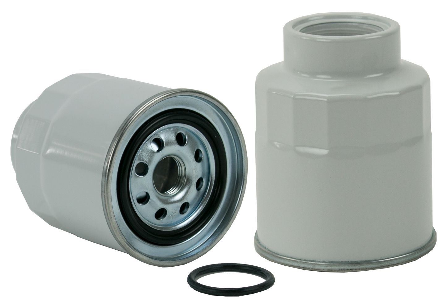 WF10228.jpg